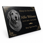 Dog Memorial Granite Photo Plaque - Floral Design